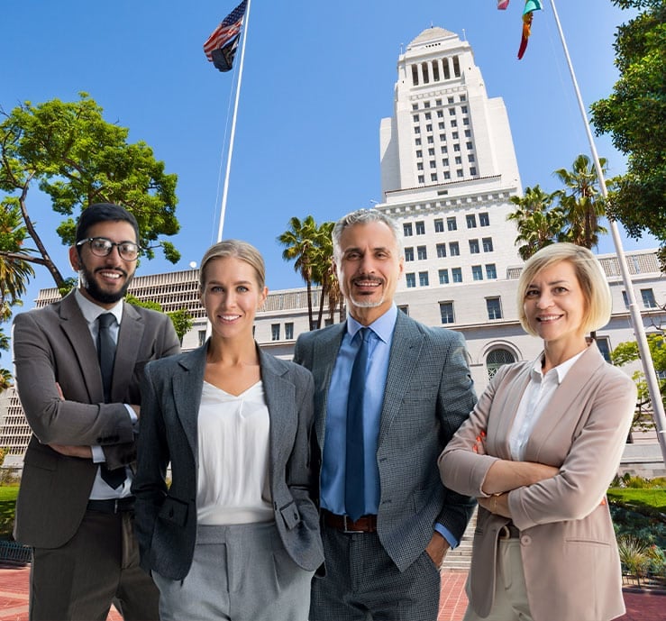 Government Background Checks